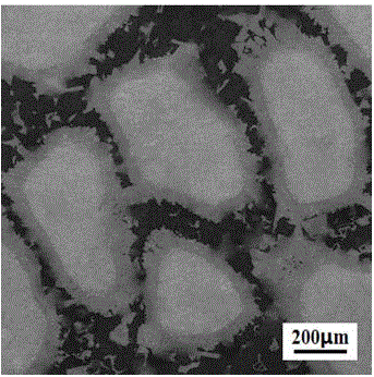 Tungsten carbide particle reinforced steel matrix surface-layer composite material and preparation method thereof