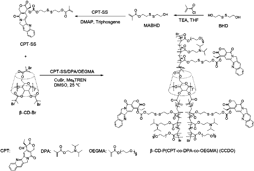 Preparation method of multi-stimulation-response cooperative anti-tumor polymer prodrug