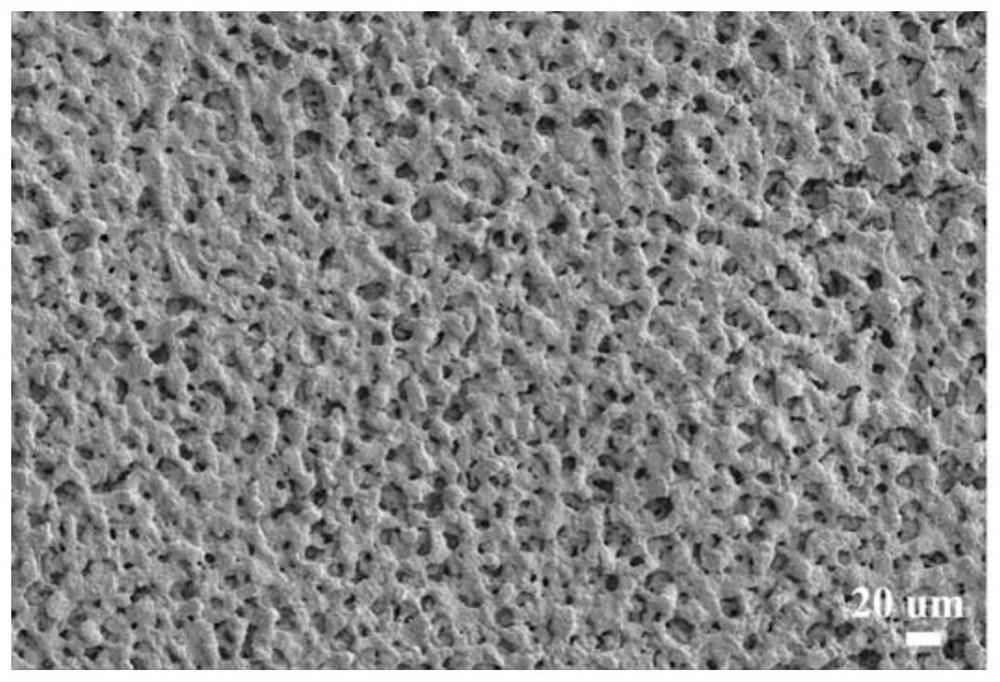 Modified zirconia ceramic with high biological activity and high mechanical strength and preparation method thereof