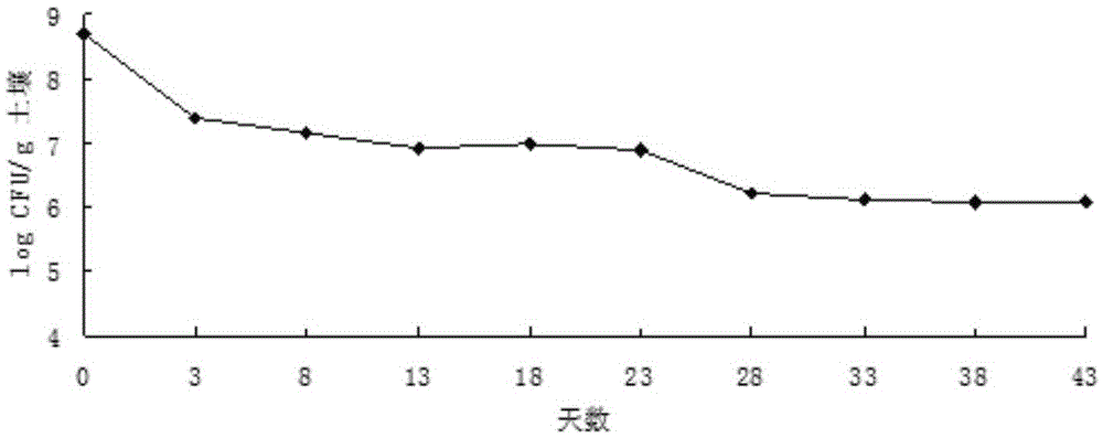 Enterobacter ludwigii BG10-1 and application thereof in biological prevention and control over aspergillus flavus