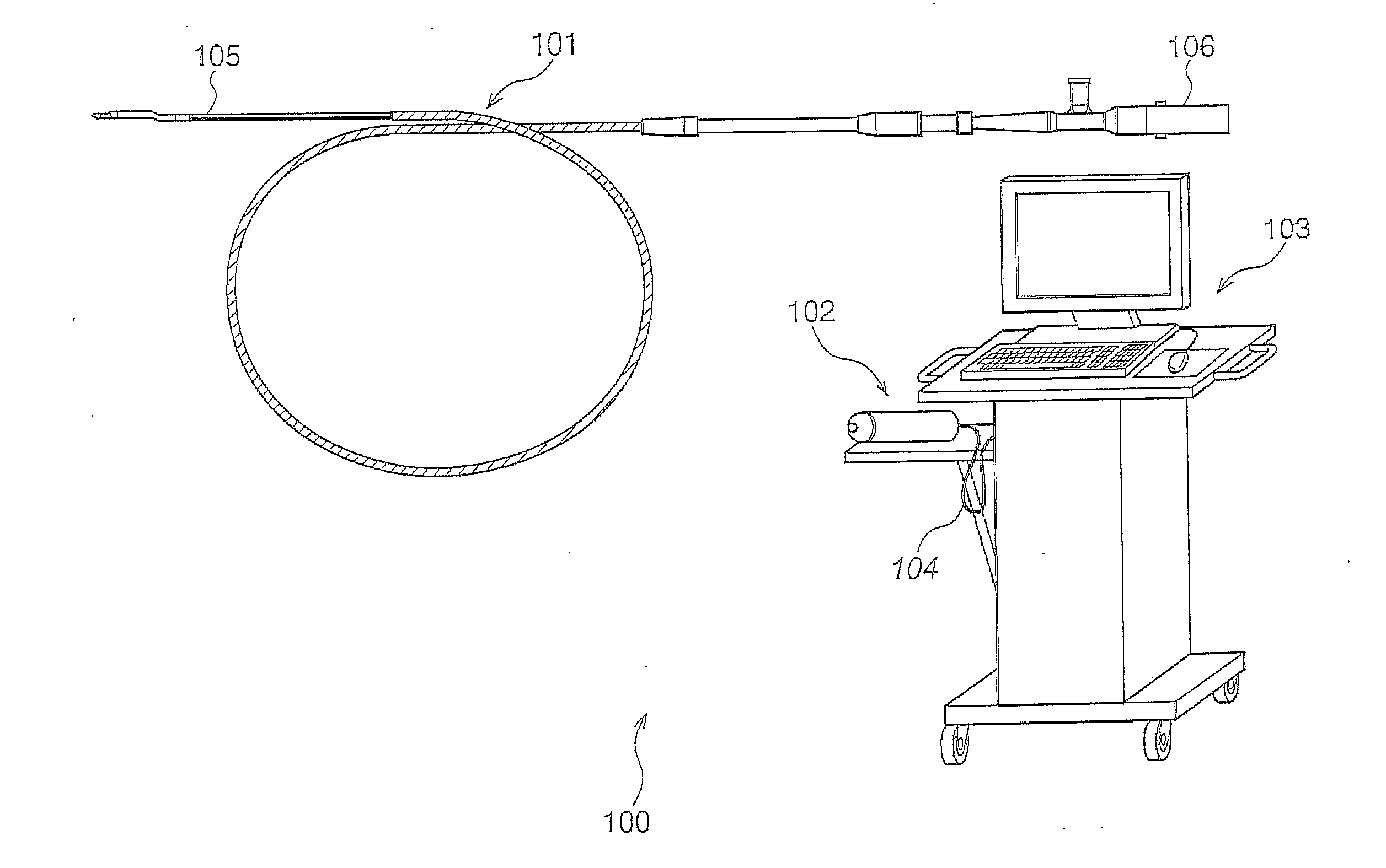 Optical probe