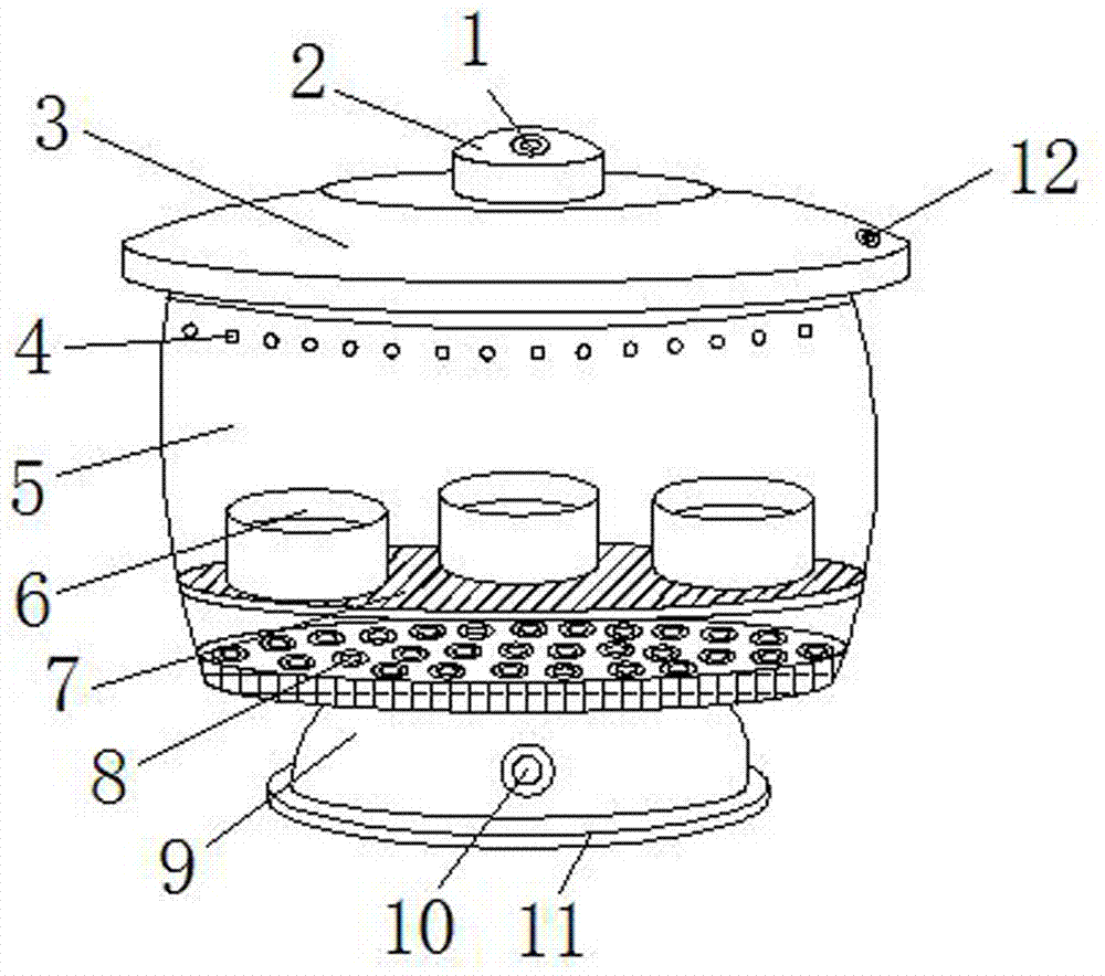 Simple seed germinator