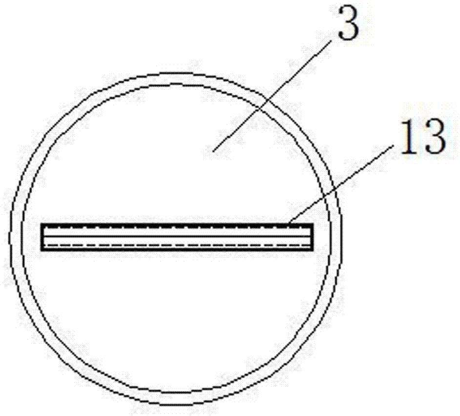 Simple seed germinator