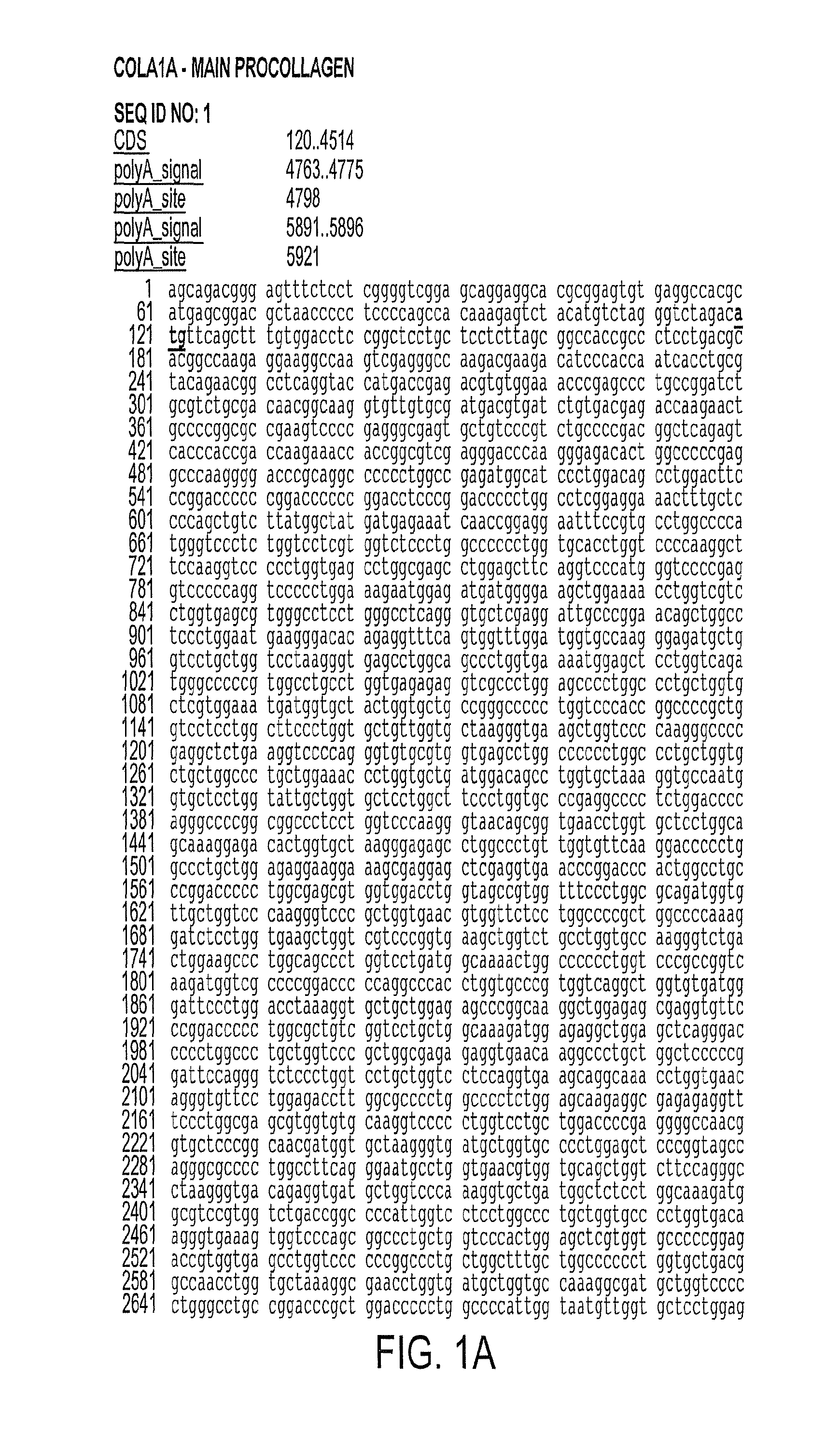 Compositions and methods for genetic modification of cells having cosmetic function to enhance cosmetic appearance