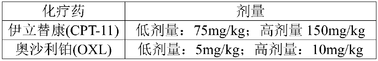 Modeling method for adverse reactions of digestive tract after chemotherapy, model and application