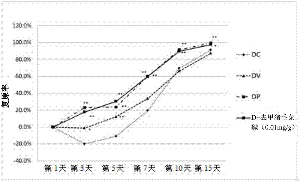 Use of isoquinoline derivatives for diabetic wound healing