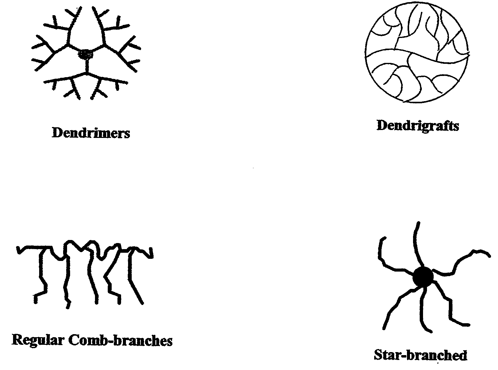 Symmetrically Branched Polymer Conjugates and Microarray Assays