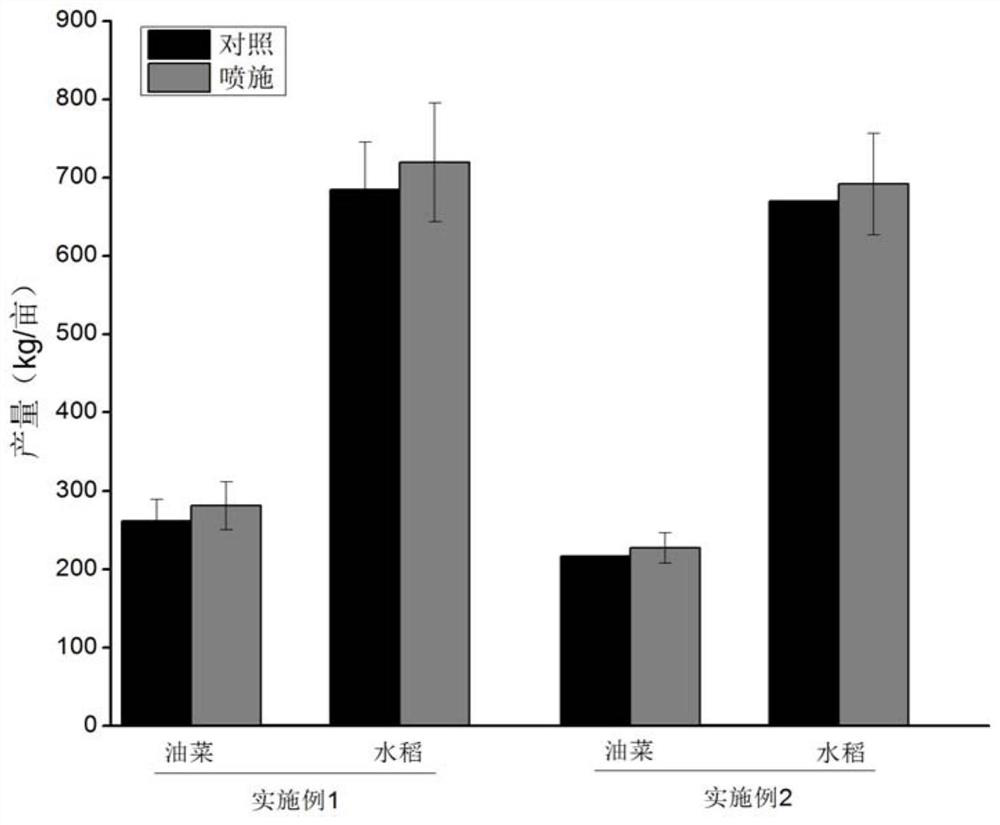 A method for repairing cadmium-contaminated farmland soil by using rapeseed-middle rice rotation