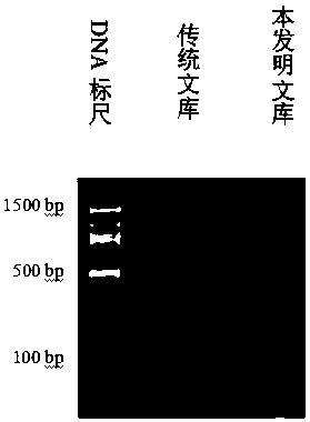 Plasma free dna bimolecular labeling, method for labeling and detecting plasma cfdna and its application