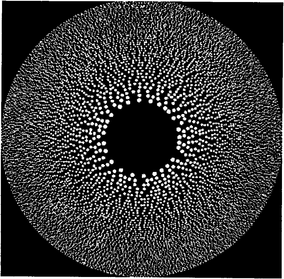 Method for producing phase type photon sieve based on HSQ (Hexadecimal Sequential) process