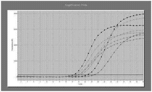 Kit for simultaneously detecting 45 mutation sites of human EGFR (Epidermal Growth Factor Receptor) gene