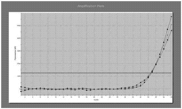 Kit for simultaneously detecting 45 mutation sites of human EGFR (Epidermal Growth Factor Receptor) gene