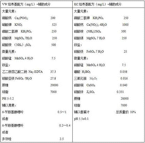 Method for in-vitro conservation and growth recovery after conservation of germplasm resource of cymbidium goeringii