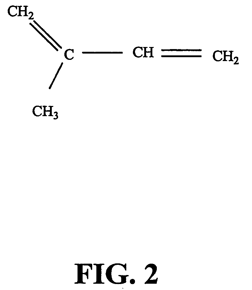 Ginkgo biloba levopimaradiene synthase