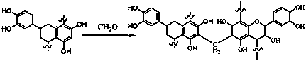 Regeneration plant tanning agent and preparation method thereof