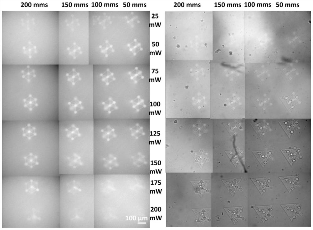 Bifunctional modified biopolymer based polymers and hydrogels obtainable from such bifunctional modified biopolymer based polymers