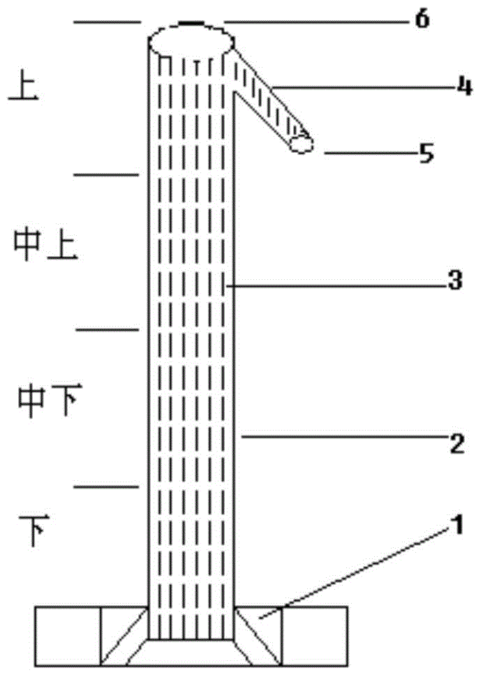 A wastewater treating method including upward water flowing