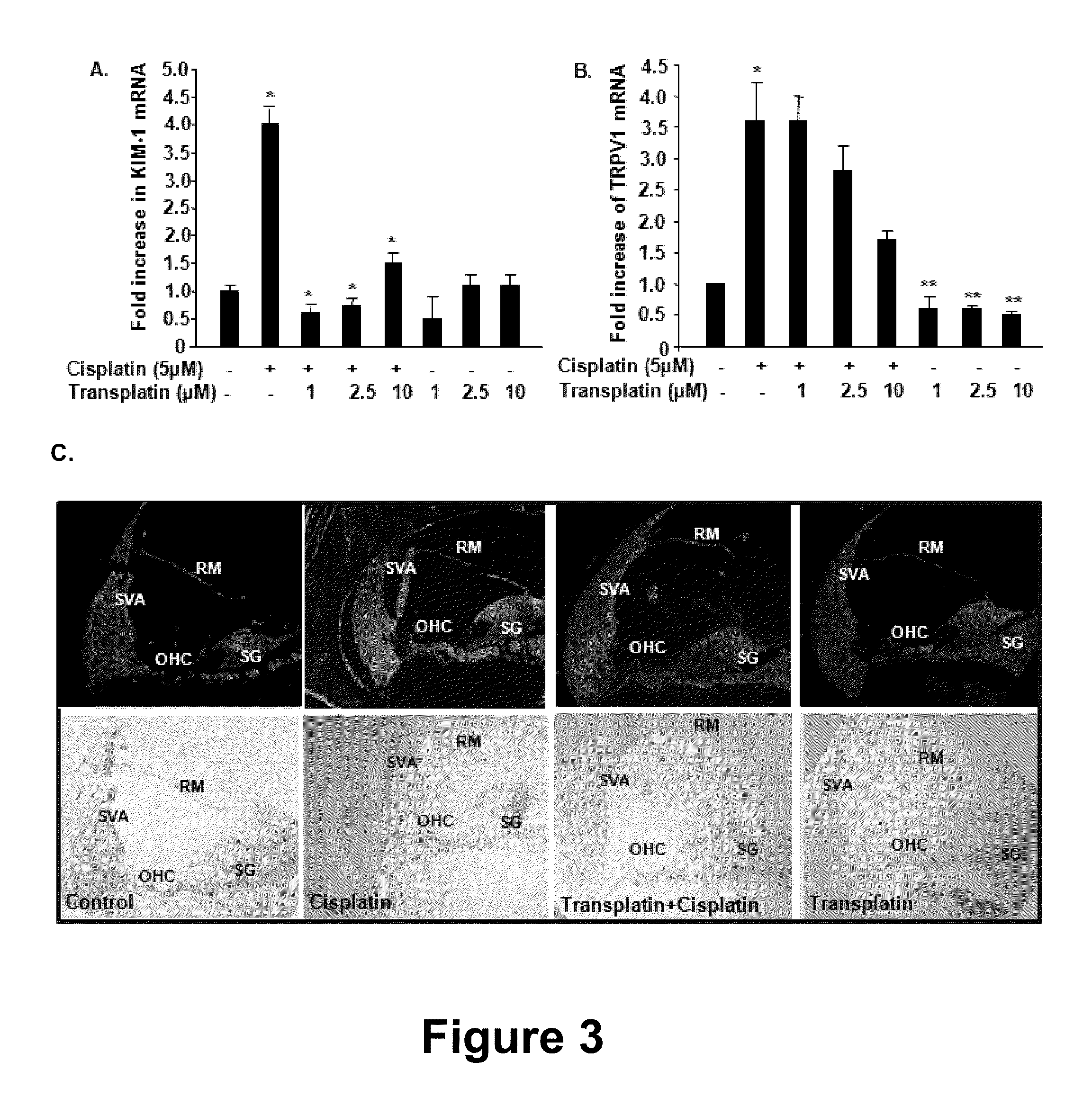 Use of transplatin to prevent hearing loss