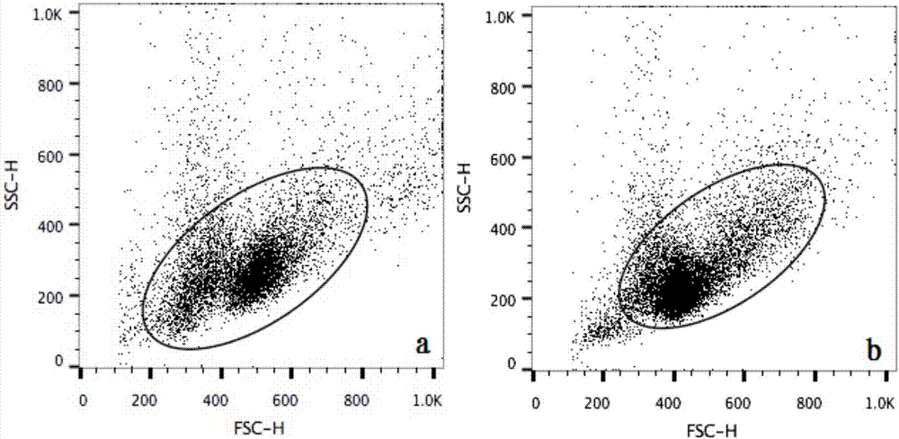 Flow cytometry detection method for mouse thymus or spleen T-lymphocyte subsets