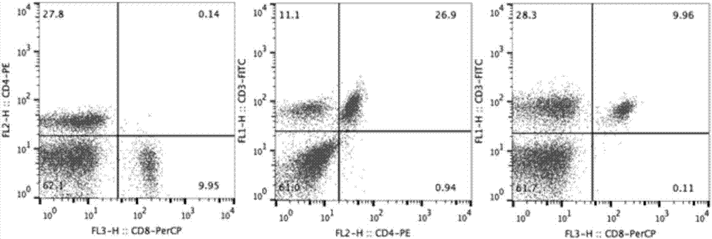 Flow cytometry detection method for mouse thymus or spleen T-lymphocyte subsets