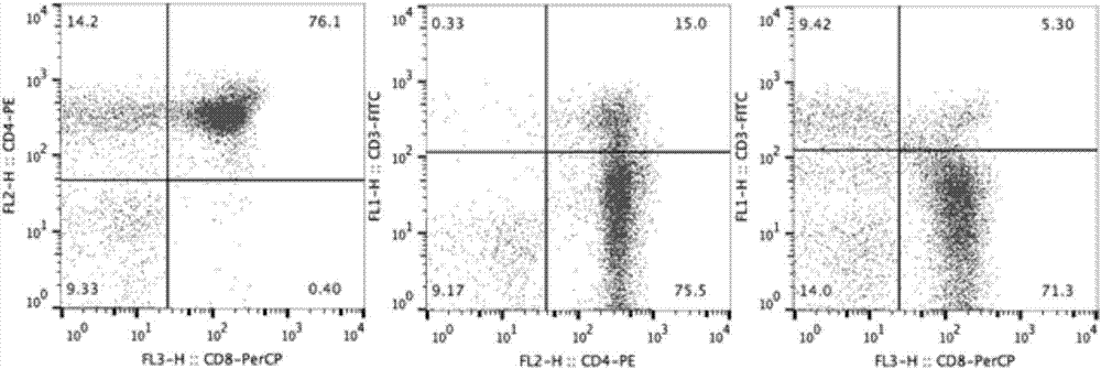 Flow cytometry detection method for mouse thymus or spleen T-lymphocyte subsets