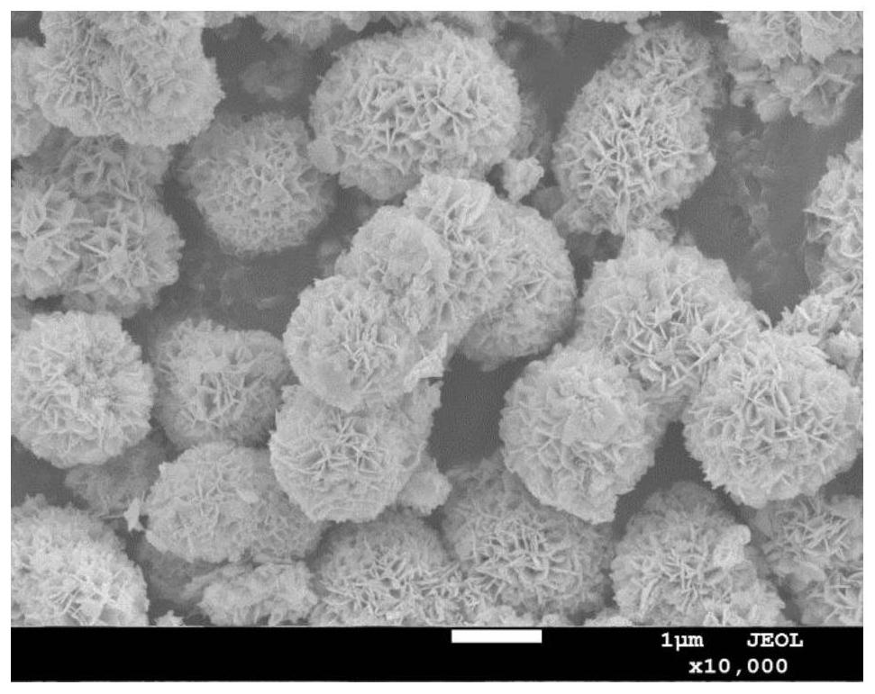 Niobium-doped bismuth oxybromide catalyst and preparation method and use method thereof