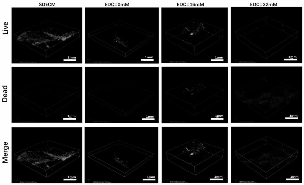 Preparation method of a specific demineralized extracellular matrix scaffold of cross-linked antibiotics