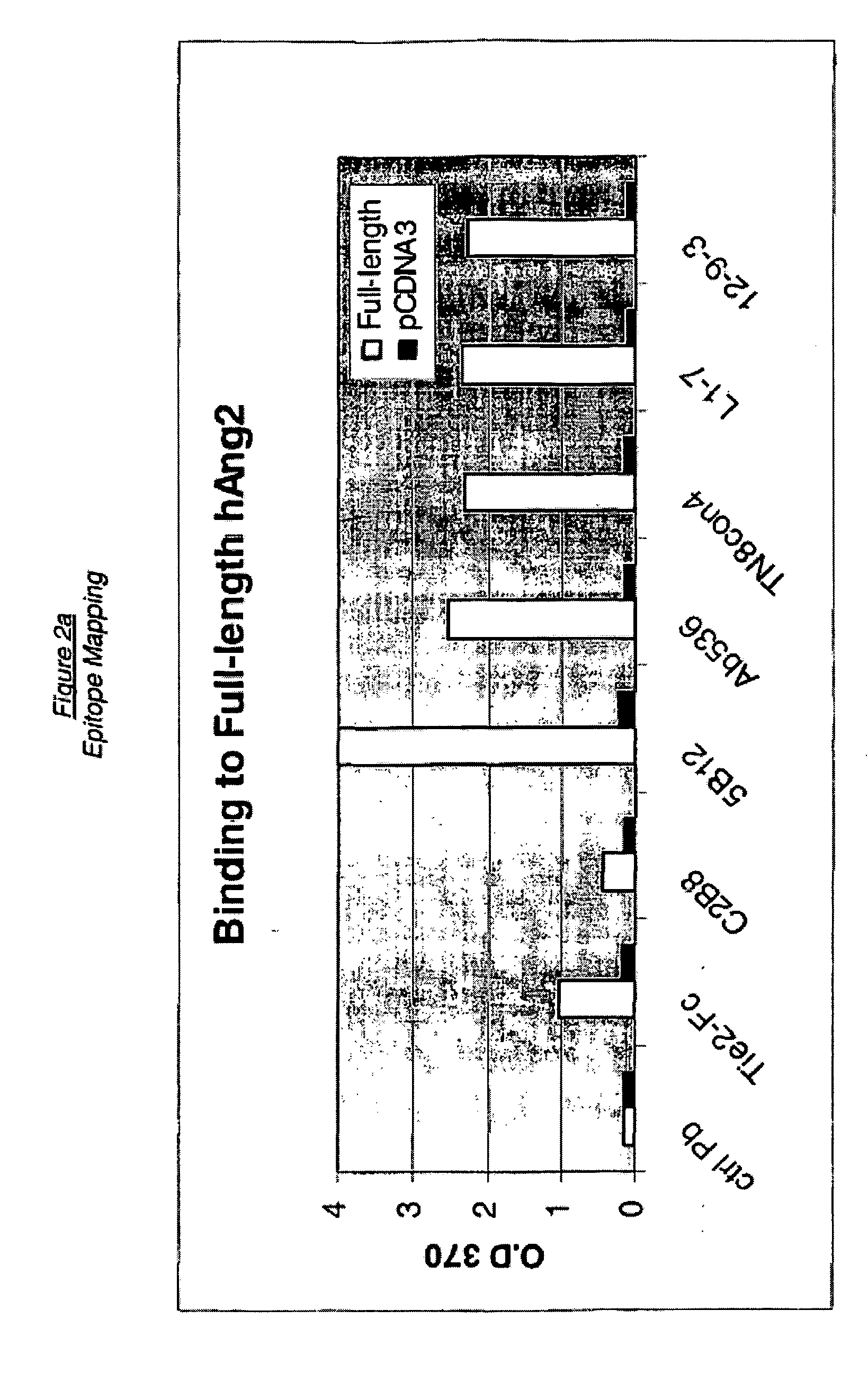 Angiopoietin-2 specific binding agents