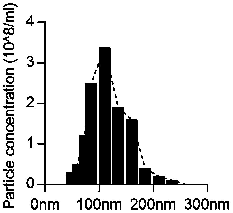 Brown-like fat exosome and engineering production method and application thereof