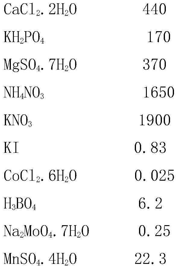 Method for Tissue Culture of Aromatic Plant Lingling Xiangqing