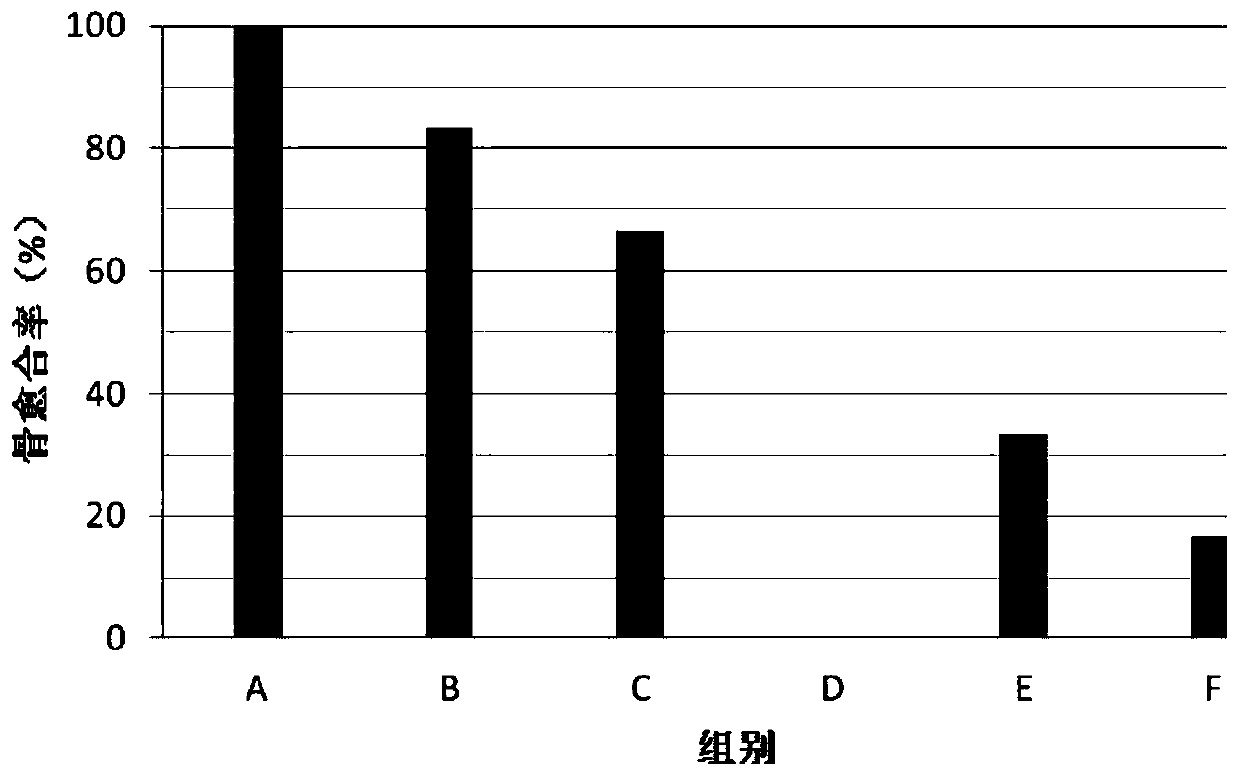 Preparation method of osteanagenesis material