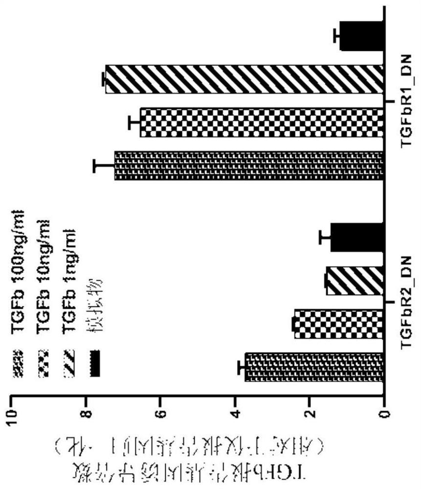 Chimeric cytokine receptors including TGFB binding domains