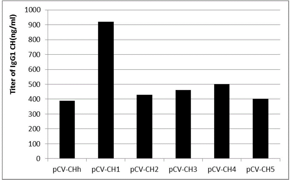 Novel enhancer and application thereof