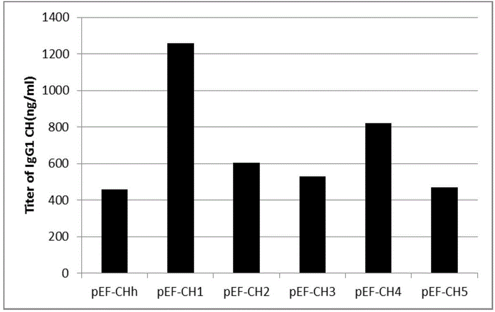 Novel enhancer and application thereof