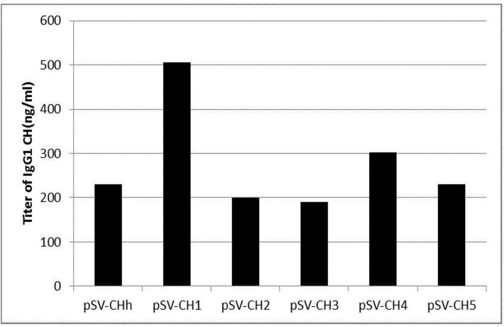 Novel enhancer and application thereof