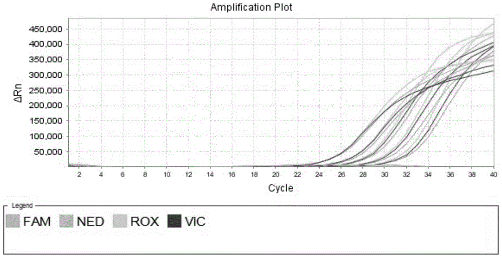 Primers, probes and kits for quantitative detection of spinal muscular atrophy genes