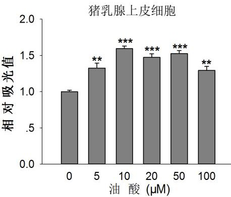 Application of Oleic Acid in Promoting Animal Mammary Gland Development