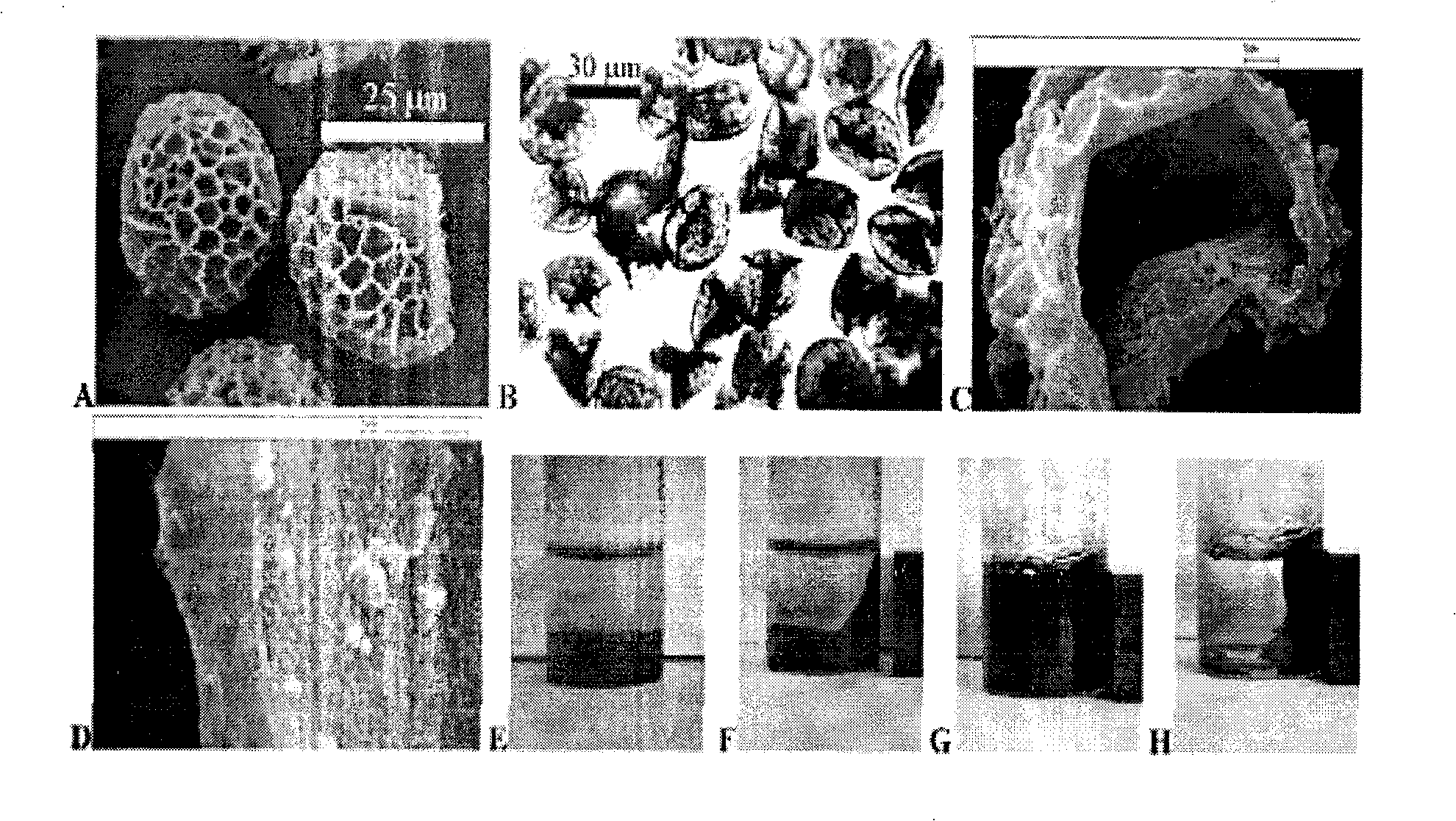 Method for preparing farina microcapsule medicament