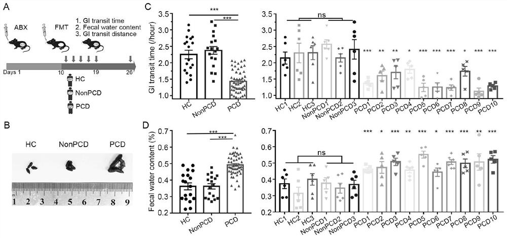 Use of 5-hydroxytryptamine receptor subtypes 3 and 4 and antagonists thereof in treatment of post-cholecystectomy diarrhea