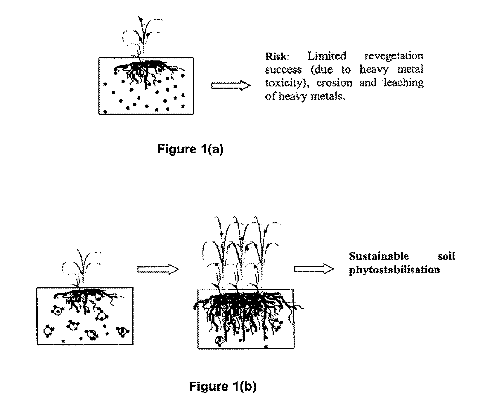 Soil remediation process