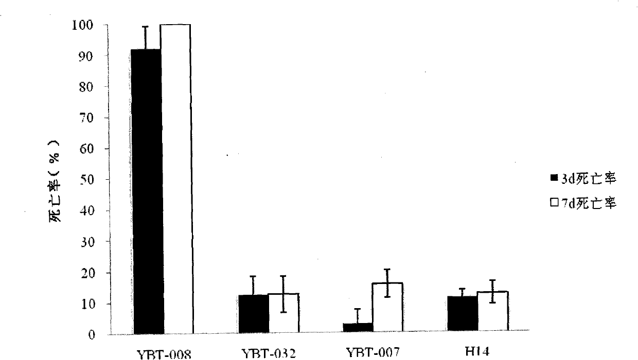 Bacillus thuringiensis YBT-008 for killing ditylenchus destructor and application thereof