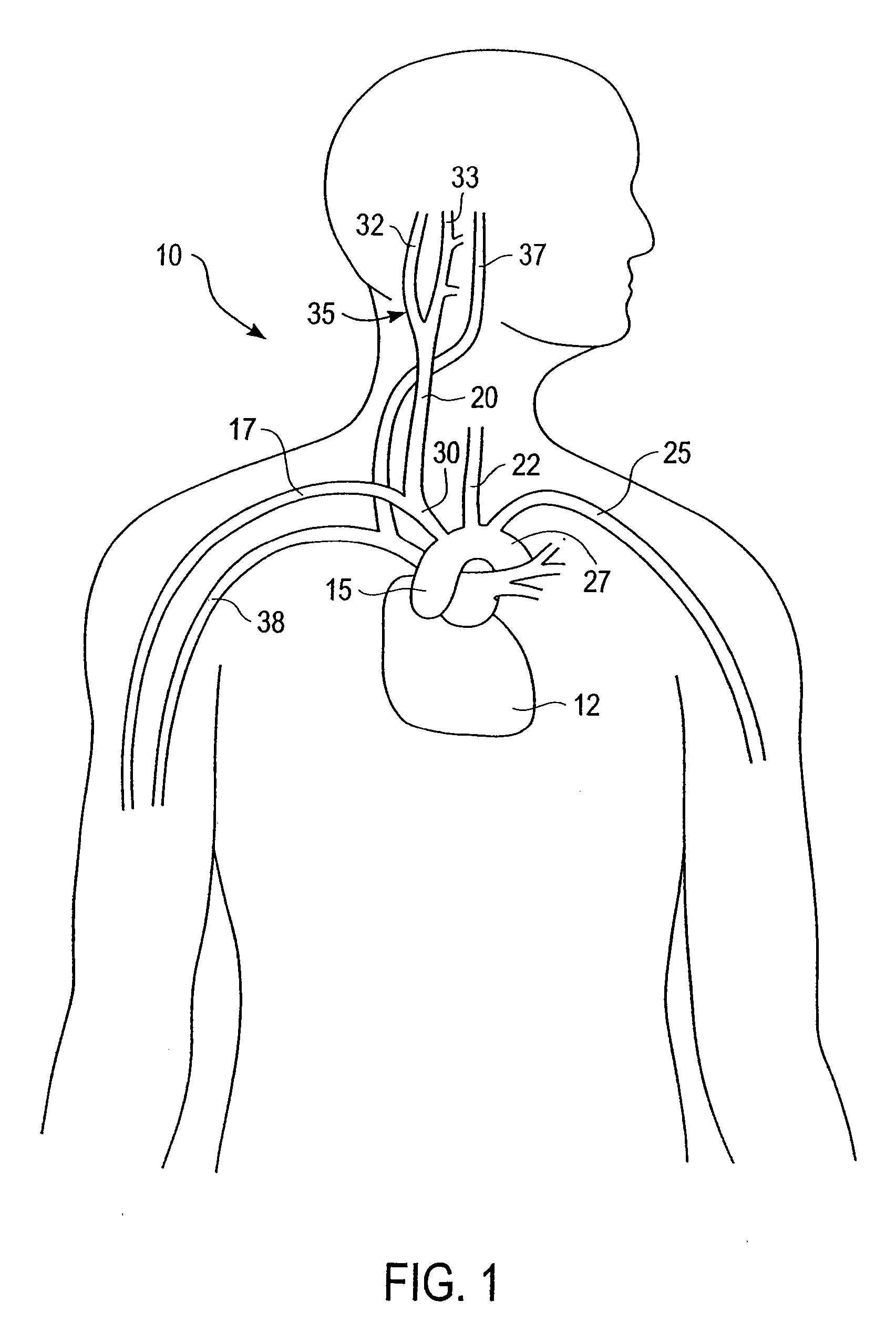 Stimulus regimens for cardiovascular reflex control