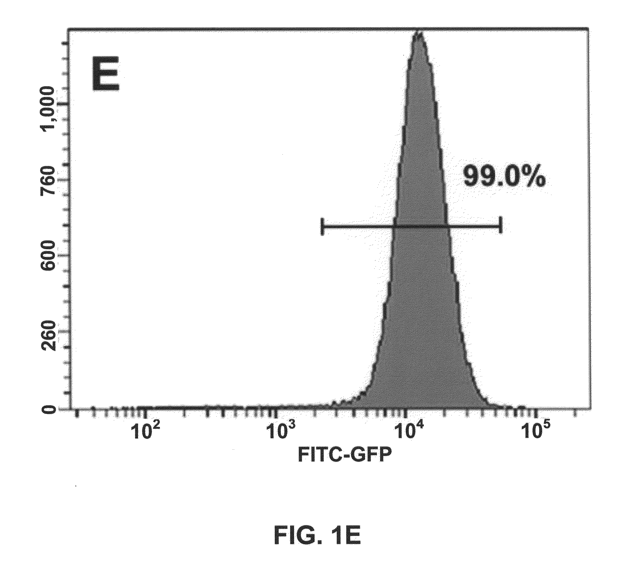 Gene recombination exchange system for stable gene modification in human ES cells