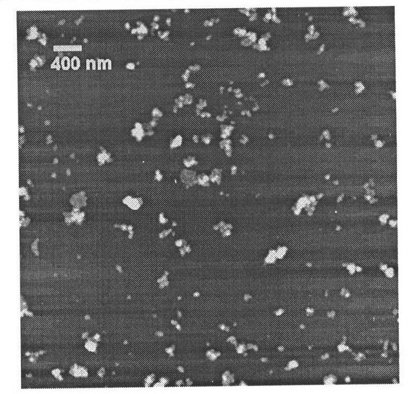 Targeted gene carrier material based on graphene oxide and its preparation and application