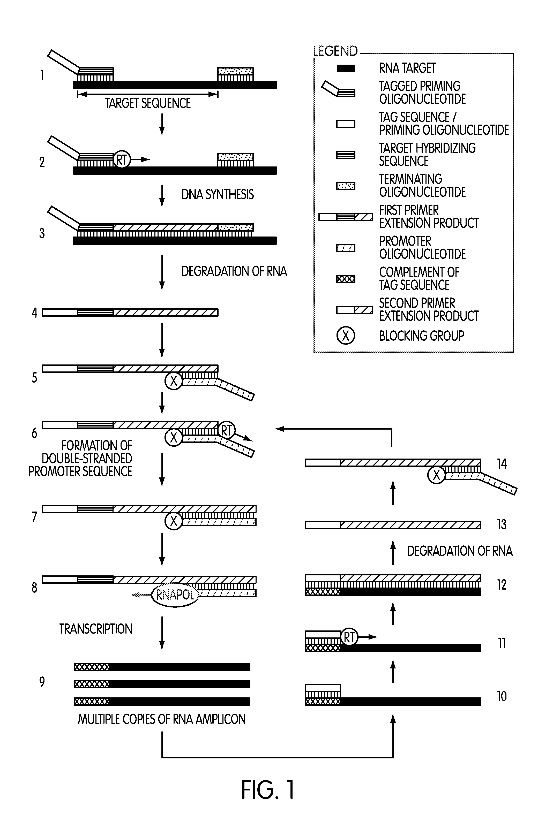 Tagged oligonucleotides and their use in nucleic acid amplification methods