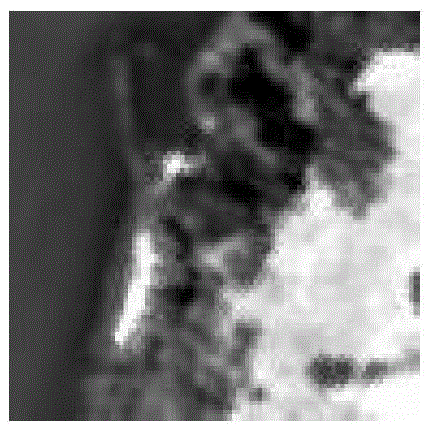 High-spectrum image nonlinear demixing method based on neural network and differential search