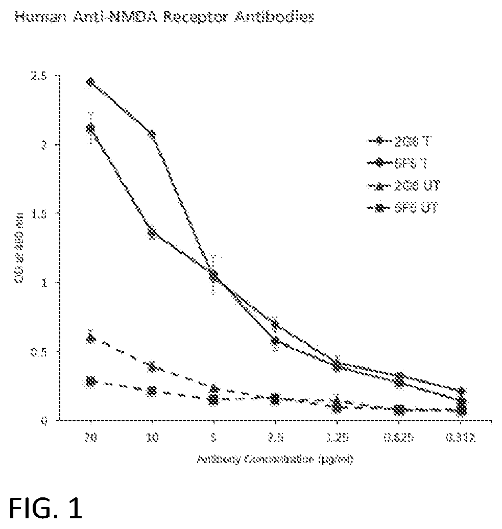 Anti-nmda receptor antibodies and methods of use