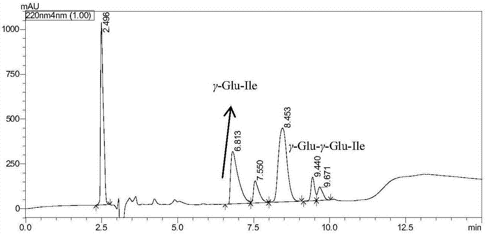 Oligopeptide gamma-Glu-gamma-Glu-Ile, flavor enhancing agent, seasoning and preparation method thereof