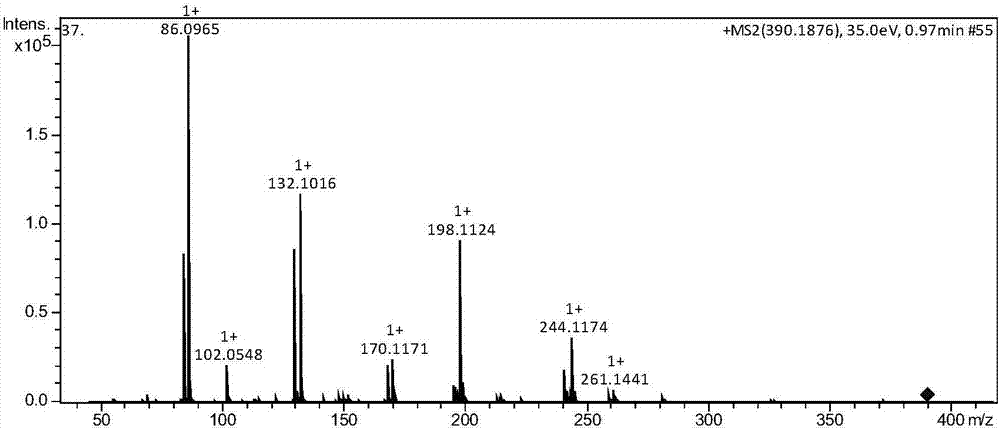 Oligopeptide gamma-Glu-gamma-Glu-Ile, flavor enhancing agent, seasoning and preparation method thereof