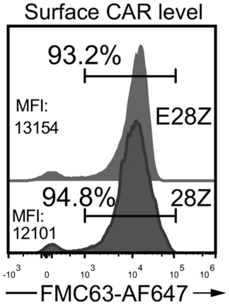 Chimeric antigen receptor and application thereof